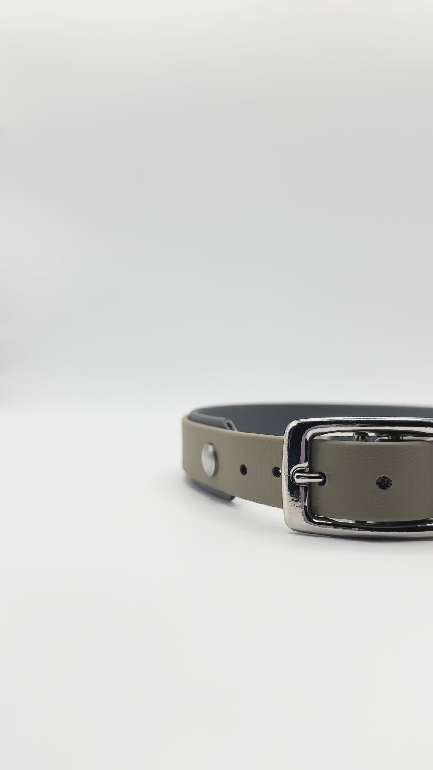 Hundehalsband aus BioThane in zwei Farben: Beige und Grau. LINEA Kollektion. Verschiedene Breiten erhältlich, somit geeigent für kleine, mittlere und große Hunde. Beschläge können Farblich angepasst werden.