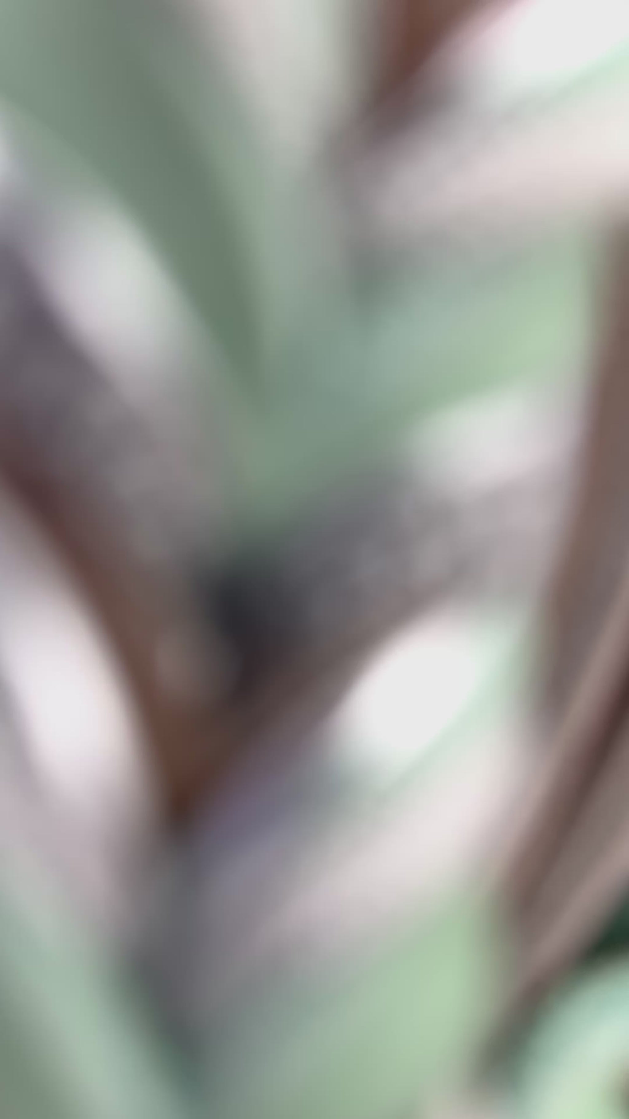Lederleine aus Fettleder in den Farben Braun und Mint. Hundeleine aus Leder in verschiedenen Breiten und Längen erhältlich. Karabiner und Breite der Leine anpassbar a das Gewicht deines Hundes, somit ist diese Leine für kleine, mittlere und große Hunde geeigent.